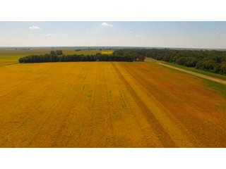 Property photo 4 - MAJOR ILLINOIS LAND AUCTION - 752.54+/- ACRES OFFERED IN 9 TRACTS IN KANKAKEE COUNTY, ILLINOIS